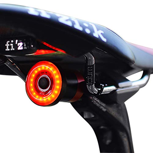 1 one enjoy Luz de Cola para Bicicleta Inteligente Ultra Brillante, luz de Bicicleta Recargable, Encendido/Apagado automático, Luces de Bicicleta LED Impermeables IPX6 (Black)