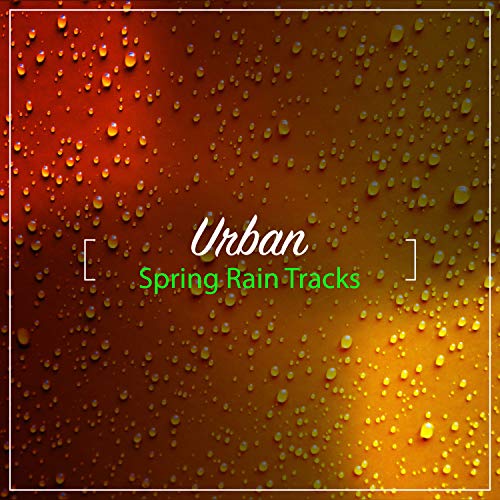 #15 Urban Spring Rain Tracks