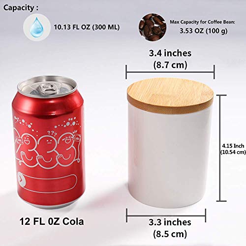 77L Tarro de Almacenamiento de Alimentos, 300 ML (10.13 FL OZ), Almacenamiento de Cocinacon Tapa de Bambú & Anillo de Sellado de Silicona -Para Servir té, Café y Más