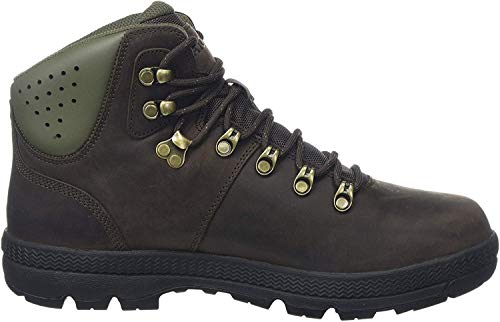 Aigle Tenere Light Retro GTX, Zapatos de High Rise Senderismo Hombre, Negro (Coffee/Verykaki 001), 45 EU