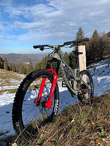 All Mountain Style Amsfg2clbe Protector de Cuadro Extra – Protege tu Bicicleta de posibles arañazos y Golpes, Unisex Adulto, Transparente/Oso