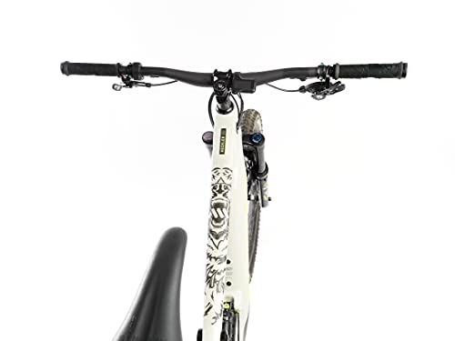 All Mountain Style Amsfg2clbe Protector de Cuadro Extra – Protege tu Bicicleta de posibles arañazos y Golpes, Unisex Adulto, Transparente/Oso