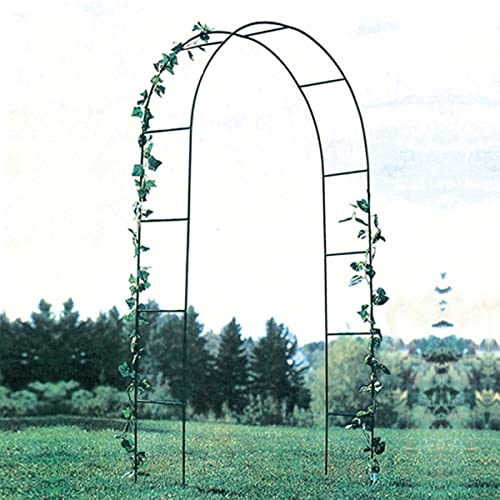 Arco de Jardín de Metal Para Bodas, Enrejado de Arco de Jardín para Plantas Trepadoras Al Aire Libre, Arco de Pérgola Decorativo, Enrejado de Jardín de Metal para Césped de Patio Trasero y Fiesta