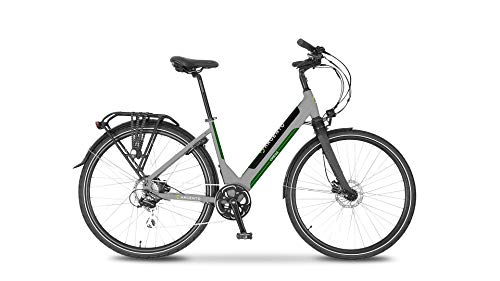 Argento Bicicleta eléctrica Omega City Unisex Adulto, Gris y Verde, Talla Única