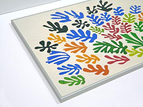 BaikalGallery Henri Matisse LA GAVILLA (1953) Cuadro Enmarcado (P2475) -Moldura de Aluminio Mate de Color Plata - Montaje en Panel Adhesivo (Foam)- Laminado en Mate (Sin Cristal) (50x70cm)