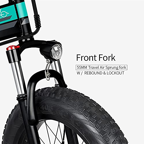 Bicicleta de Montaña, Bicicleta Adulto, Bicicleta Montaña Mujer FIIDO M1 Pro, e Bike MTB, ebike montaña 20" Fat Bike, batería de 48V 12,8Ah, Sistema de transmisión de 7 velocidades