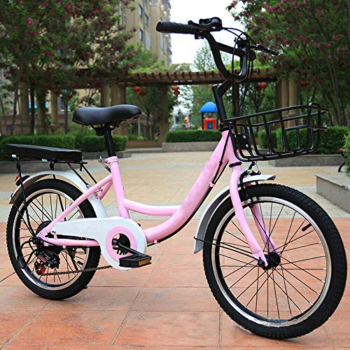 Bicicleta infantil de 20 pulgadas (rosa)