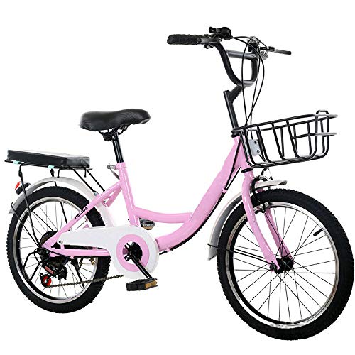 Bicicleta infantil de 20 pulgadas (rosa)