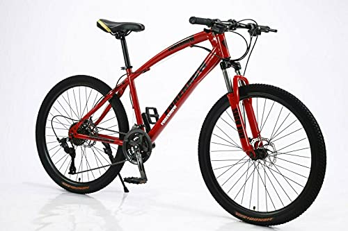 Bicicletta - Bicicleta de montaña (26 pulgadas, freno de disco, suspensión de horquilla de suspensión, color rojo, 21 pulgadas)
