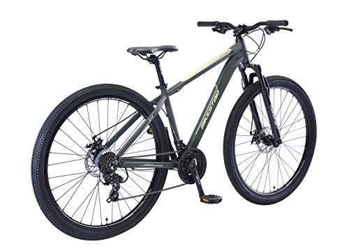 BIKESTAR Bicicleta de montaña Hardtail de Aluminio, 21 Marchas Shimano 29" Pulgadas | Mountainbike con Frenos de Disco Cuadro 17" MTB | Verde