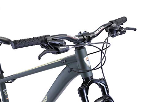 BIKESTAR Bicicleta de montaña Hardtail de Aluminio, 21 Marchas Shimano 29" Pulgadas | Mountainbike con Frenos de Disco Cuadro 17" MTB | Verde