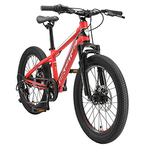 Wildtrak - Bicicleta 20 pulgadas para niños de 6 a 9 años con f