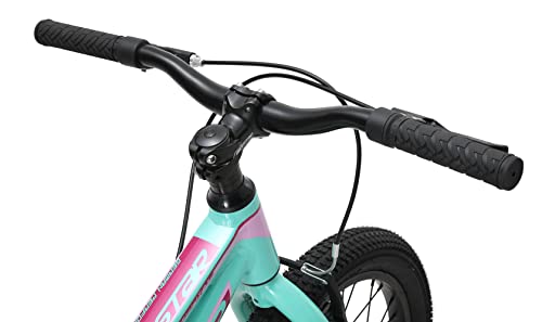 BIKESTAR Bicicleta Infantil Aluminio para niños y niñas a Partir de 5 años | Bici de montaña 18" Pulgadas con Freno en V | Mentha
