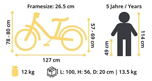 BIKESTAR Bicicleta Infantil Aluminio para niños y niñas a Partir de 5 años | Bici de montaña 18" Pulgadas con Freno en V | Verde