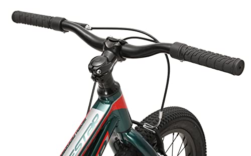 BIKESTAR Bicicleta Infantil Aluminio para niños y niñas a Partir de 5 años | Bici de montaña 18" Pulgadas con Freno en V | Verde