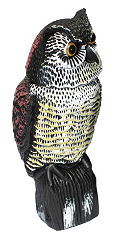 Biotop B2400 - Búho Espantapájaros - Gira la Cabeza con el Viento - No necesita Pilas - 41 cm de Alto - Color Marrón
