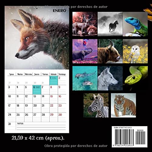 Calendario del 2022 - Animales salvajes: Calendario de España 2022. Calendario de pared de 12 meses y festivos nacionales. Almanaque de pared con ... con espacio para citas y notas. 21x42 cm