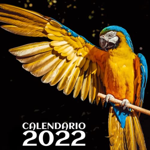 Calendario del 2022 - Animales salvajes: Calendario de España 2022. Calendario de pared de 12 meses y festivos nacionales. Almanaque de pared con ... con espacio para citas y notas. 21x42 cm