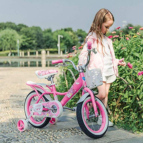 Chenbz Estilo Bicicletas niños Equilibrio niños de la Muchacha Princesa de Bicicletas Bicicletas de 12" 14" 16" 18" Bicicleta Niños 3-12 for Empuje Años de Edad Niños Formación Rosa Bici (Tamaño: 12"