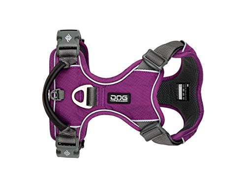 DOG Copenhagen Hundegeschirr V2 Comfort Walk (Pro) Purple Passion Talla L