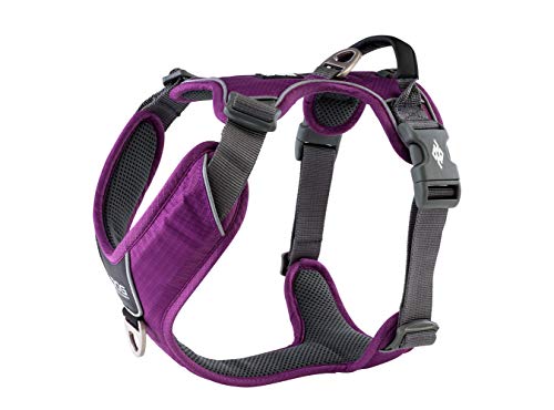 DOG Copenhagen Hundegeschirr V2 Comfort Walk (Pro) Purple Passion Talla L