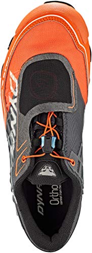 Dynafit Feline SL GTX, Zapatillas de Running Hombre, Multicolor, 42 EU