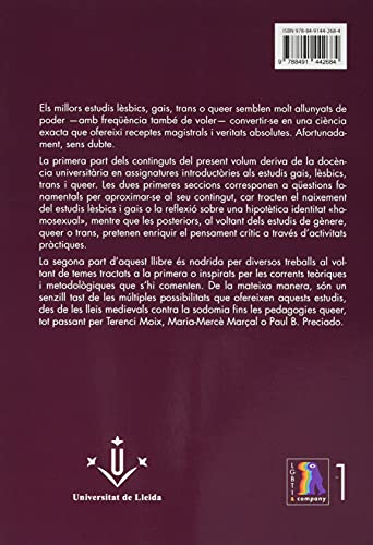 Els Estudis Lèsbics, gais, Trans I Queer: Una introducció pràctica: 1 (LGBTI & Company)