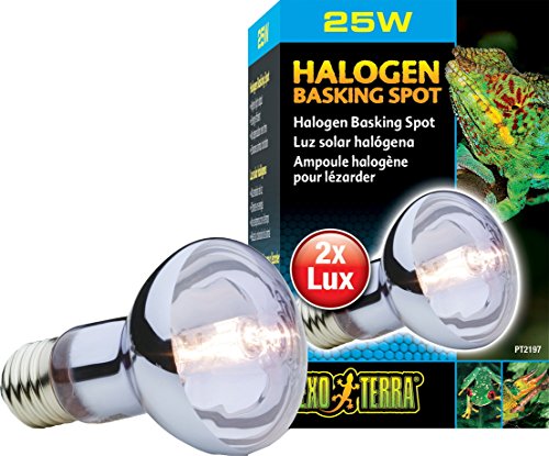 EXO TERRA Bombilla Halógeno Basking Spot, 25 W