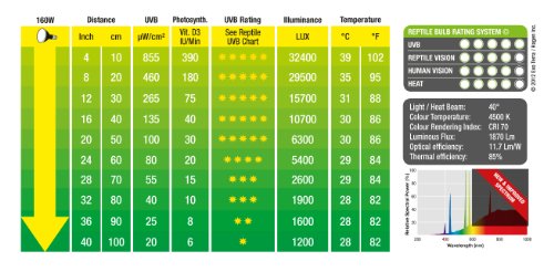 EXO TERRA Bombilla Solar GLO Vapor de Mercurio, 160 W