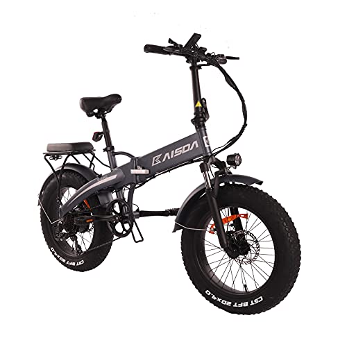 Fafrees Bicicleta eléctrica Plegable de 20 Pulgadas, Fat Bike batería de 48 V, Faros superbrillantes, Ruedas de 4 Pulgadas de Ancho