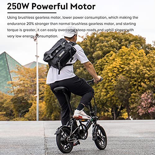 FIIDO D3 Pro - Bicicleta eléctrica plegable, aleación de aluminio, portátil, para hombre y mujer, 36 V, 7,5 Ah, 25 km/h, 60 km, 18 kg, 250 W, motor sin escobillas (negro)