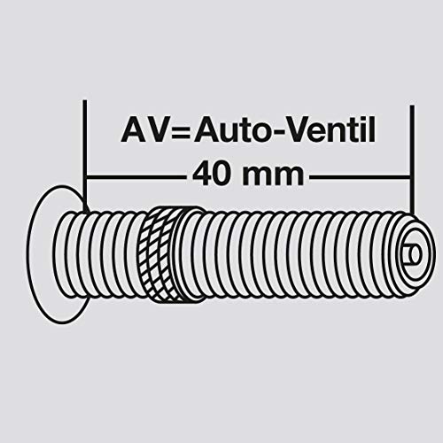 Fischer Schlauch Mittel AV Cámara de Aire para Bicicleta, Media, Unisex Adulto, Válvula de Coche, 28 Zoll ETRTO: 37-45/622