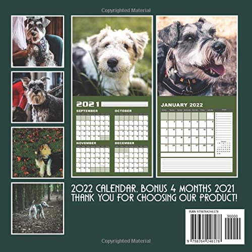 Fox Terrier 2022 Calendar: Just Wirehaired Fox Terriers Squared Monthly Calendar Mini Planner To Do List 12 Months 2022 bonus September to December 2021 | Classroom, Home, Office