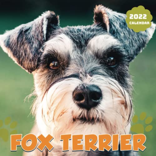 Fox Terrier 2022 Calendar: Just Wirehaired Fox Terriers Squared Monthly Calendar Mini Planner To Do List 12 Months 2022 bonus September to December 2021 | Classroom, Home, Office