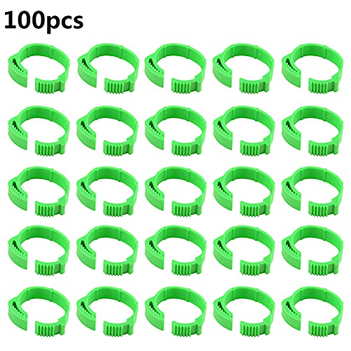 FZQBEY 100 anillos para pies de gallina, anillos para patas de aves de corral, 20 mm, ajustables, anillos de gallina, anillos en espiral, para aves de corral, patos, búhos de ganso, bandas, (verde)