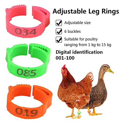 FZQBEY 100 anillos para pies de gallina, anillos para patas de aves de corral, 20 mm, ajustables, anillos de gallina, anillos en espiral, para aves de corral, patos, búhos de ganso, bandas, (verde)