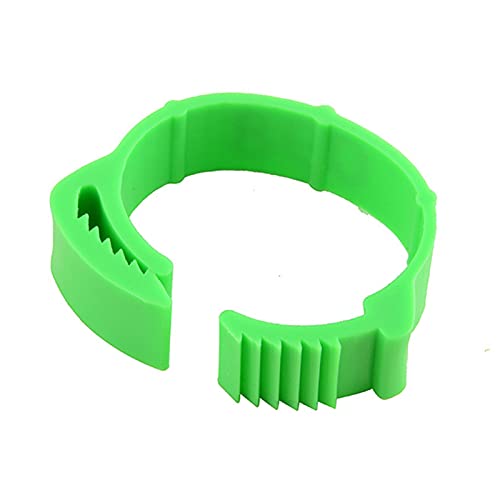 FZQBEY 100 anillos para pies de gallina, anillos para patas de aves de corral, 20 mm, ajustables, anillos de gallina, anillos en espiral, para aves de corral, patos, búhos de ganso, bandas, (verde)