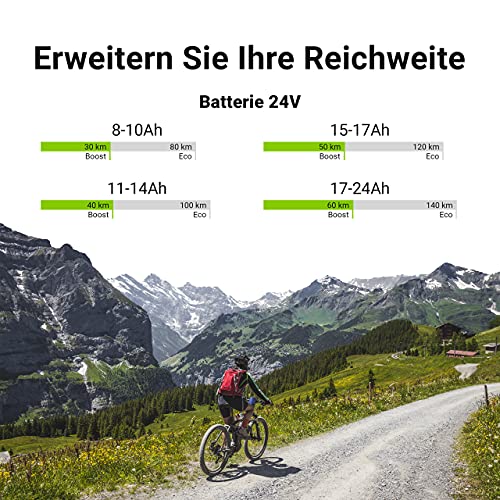 Green Cell® 24V | 36V Batería para Bicicleta Electrica de Iones de Litio Li-Ion Recargable al Motor 250W BMS E-Bike Batería de Bortaequipajes Rear Rack y Cargador (24V 8.8Ah MAX 250W)
