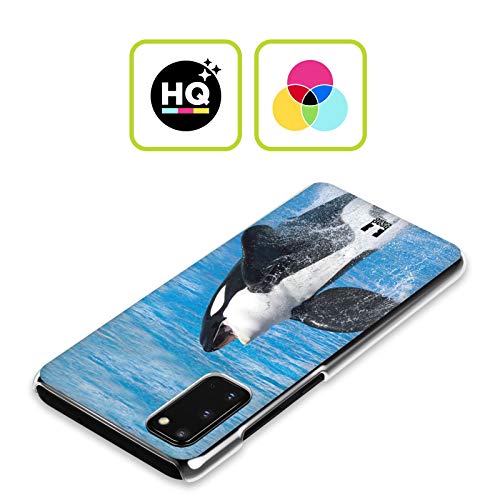 Head Case Designs Salto De Ballena Orca Animales Famosos Carcasa rígida Compatible con Samsung Galaxy M30 (2019)