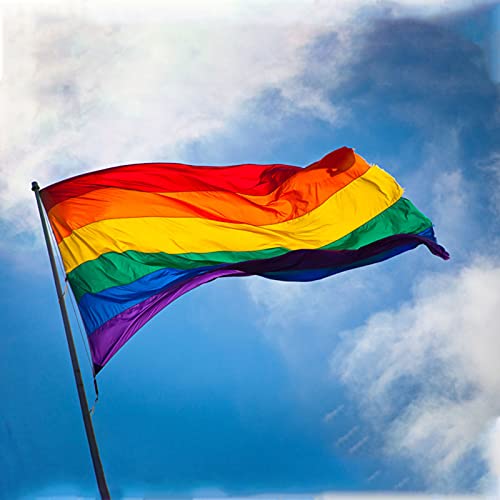 HLJS Bandera de arco iris gay Pride Progress Pride Rainbow Bandera, grande para interiores y exteriores, LGBT, perfecta para el Día del Orgullo Gay, decoración de festivales, 90 x 150 cm