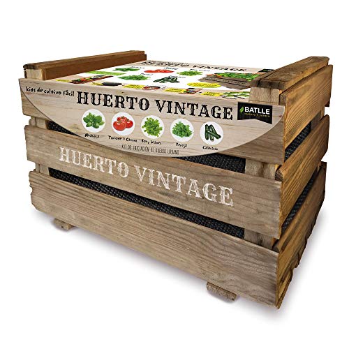 Huerto Urbano - Huerto vintage - Batlle
