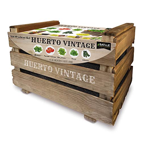 Huerto Urbano - Huerto vintage - Batlle