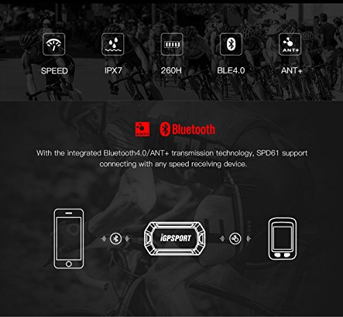 iGPSPORT SPD61 (versión española) - Sensor de Velocidad inalámbrico ANT+ / 2.4G y Bluetooth 4.0 ciclismo y bicicleta. Compatible con ciclo computadores GPS Garmin, Bryton, Sigma.. IPX7. Sin imanes