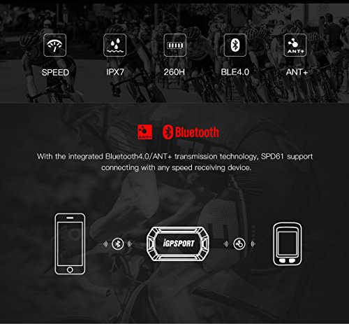 iGPSPORT SPD61 (versión española) - Sensor de Velocidad inalámbrico ANT+ / 2.4G y Bluetooth 4.0 ciclismo y bicicleta. Compatible con ciclo computadores GPS Garmin, Bryton, Sigma.. IPX7. Sin imanes