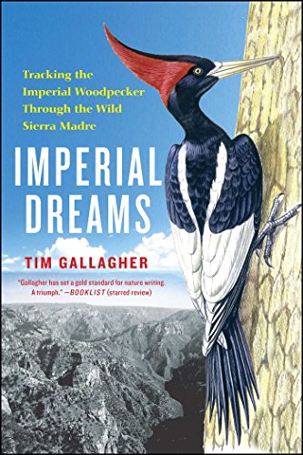 Imperial Dreams: Tracking the Imperial Woodpecker Through the Wild Sierra Madre (English Edition)