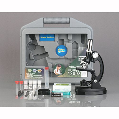 Kit de microscopio M30-ABS-KT2 para niños de AmScope-KIDS, de 120X-240X-300X-480X-600X-1200X, brazo metálico, biología