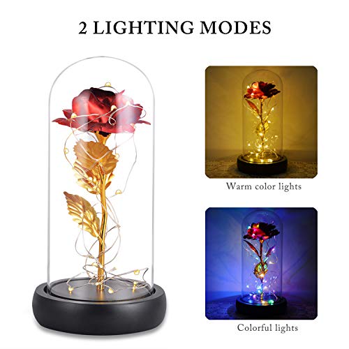 La Bella y la Bestia Rose, Red Silk Rose en Dome Glass con 20 LED Fairy Lights String, Romántica Sorpresa para el Día de San Valentín, Valentine, Aniversario de Bodas, Navidad, Regalos día de la Madre