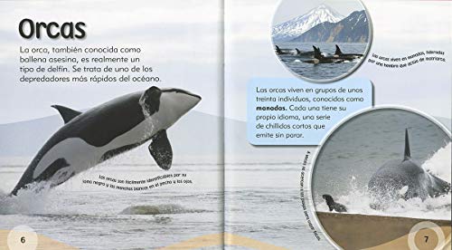 La orca y otras criaturas de aguas frías (Bajo el mar)