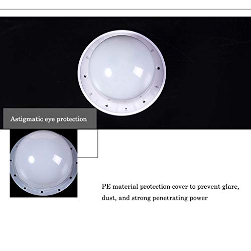 Lámpara de pie de la lámpara de pie, Interior/Exterior Impermeable Recargable LED Bola de luz Brillante Orbe Globo Lámpara con Control Remoto, 4 Efectos de luz, for la iluminación de la Fiesta en el