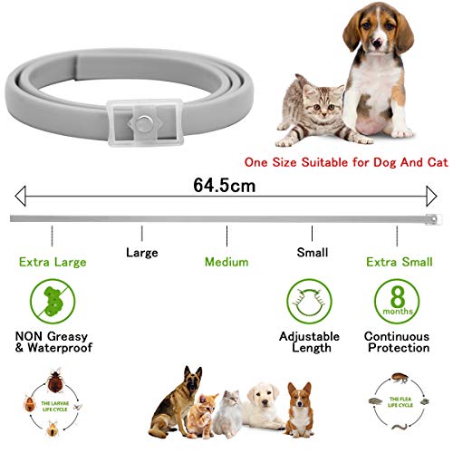 LAOYE Collar Antiparasitos para Mascota Collar Antipulgas para Perro y Gato, Collar garrapatas Ajustable de 8 Meses de Protección, Collar de Pulgas para Perros Pequeños y Grandes